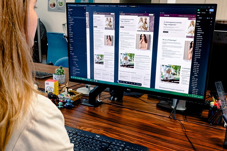 Individuelle Website